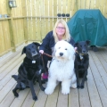Jake, Pixie and Beau