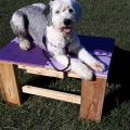 pixie-down-table