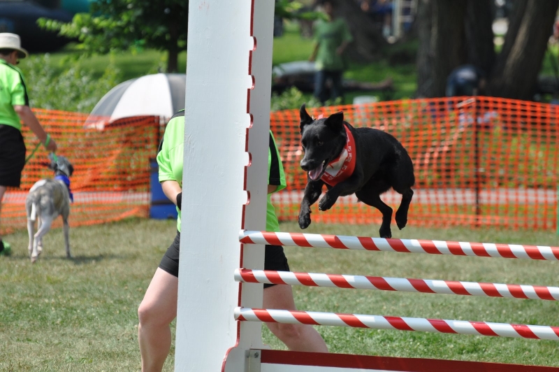 Beau high jump