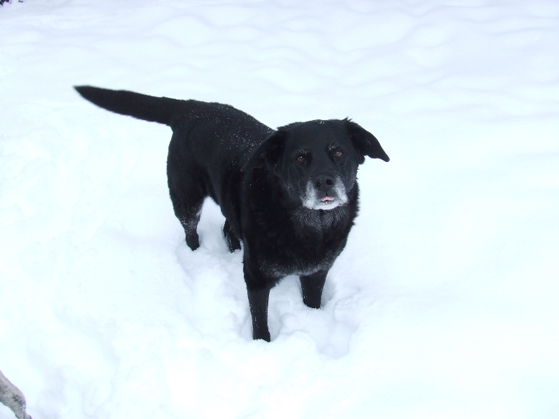 Fun in the snow!