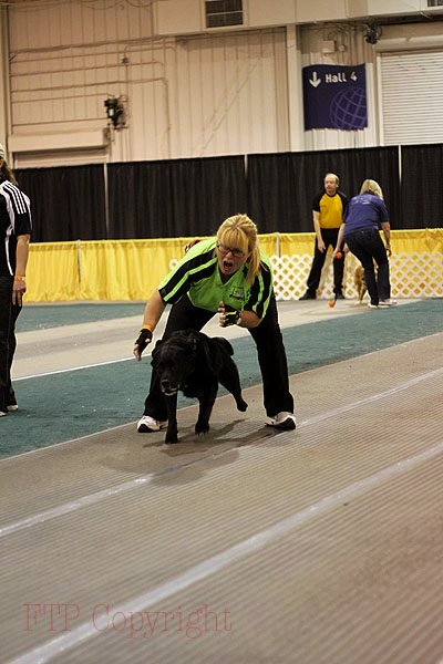 Jake at the All About Pets show 2009