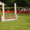 Picton flyball demo 2012